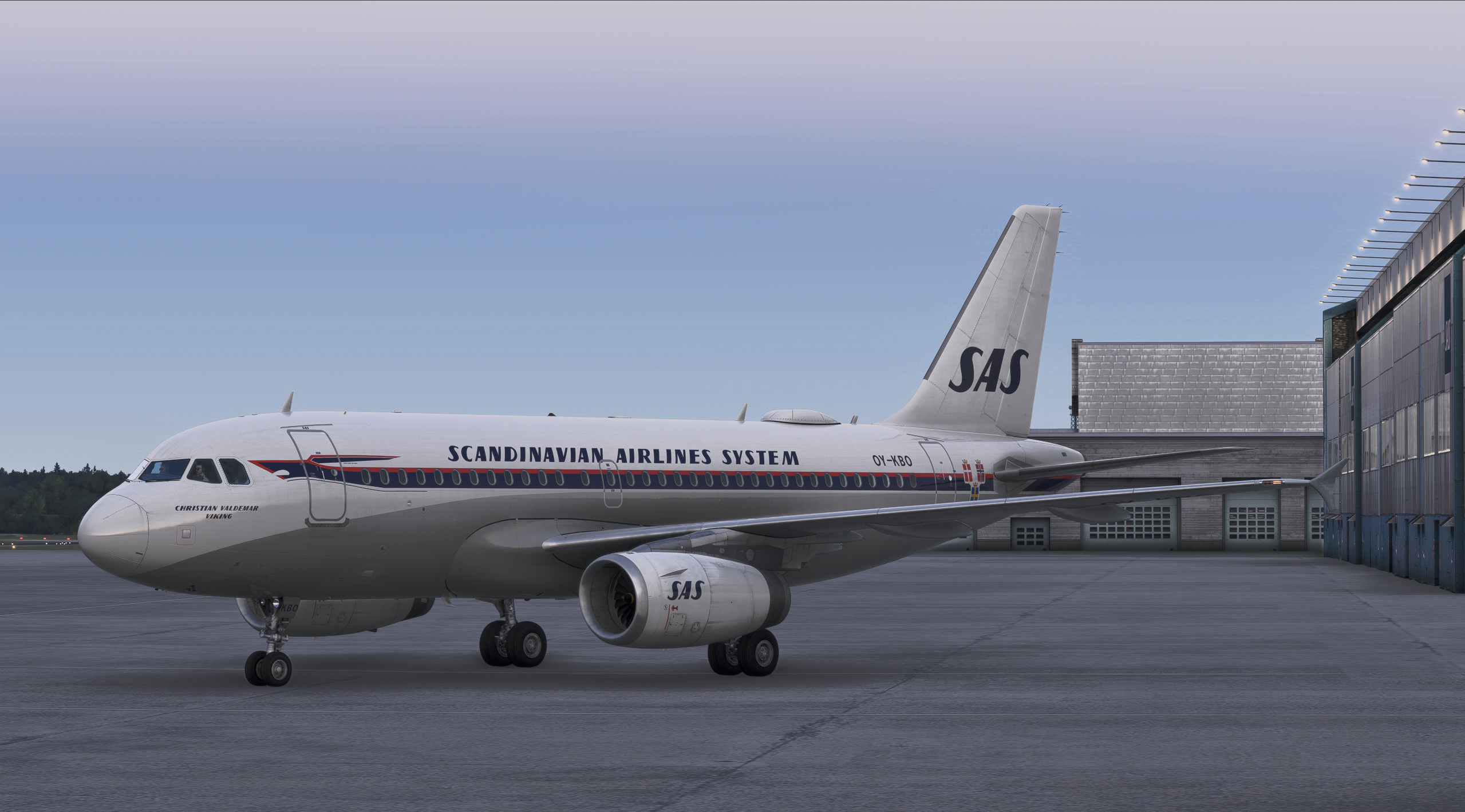 vSAS Airbus A319 aircraft in SAS livery