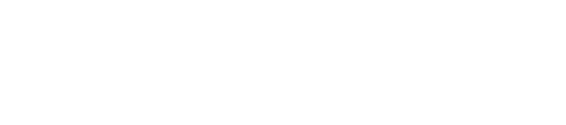 vSAS Logo